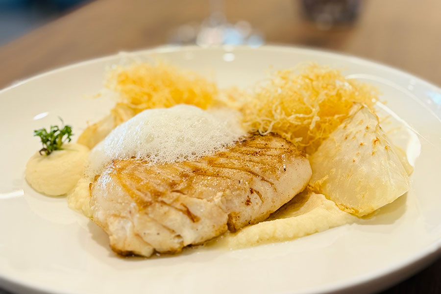 Zander mit Dreierlei Sellerie und Beurre blanc Fisch als Superfood