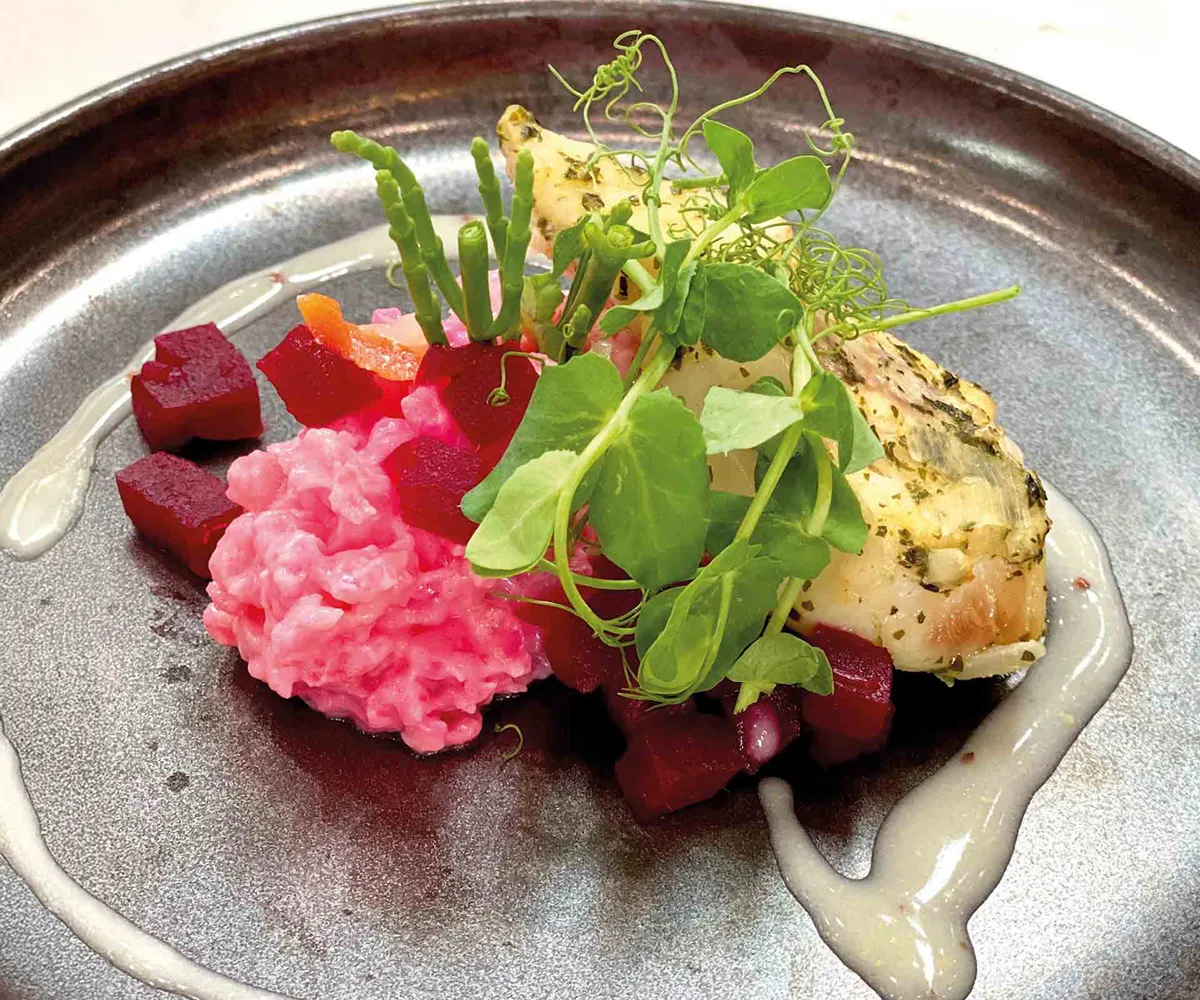 Genuss auf dem Teller - fein angerichteter Salat mit Fisch und roter Beete
